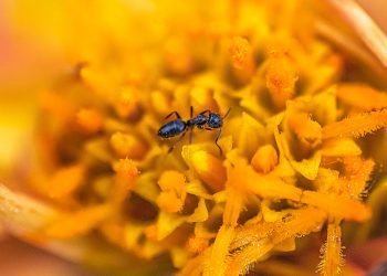 How to Overcome Procrastination in Your Studies