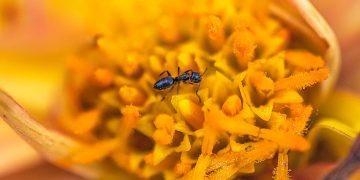 How to Overcome Procrastination in Your Studies