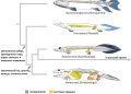 Science Simplified: Making Complex Concepts Understandable