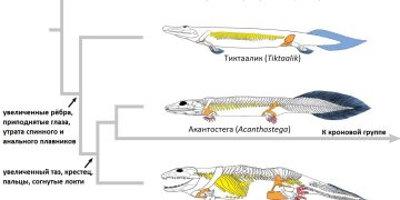 Science Simplified: Making Complex Concepts Understandable