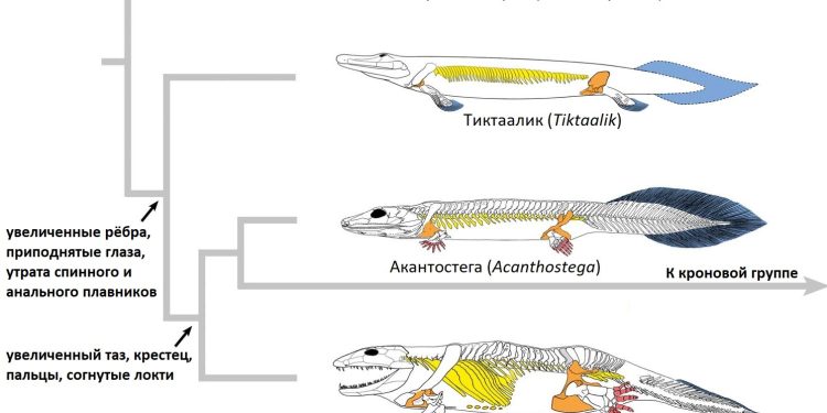 Science Simplified: Making Complex Concepts Understandable
