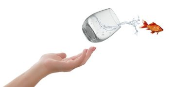 Career Change: When and How to Make the Leap