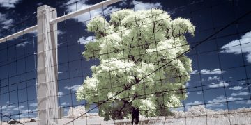 The Ultimate Guide to Passing the Bar Exam