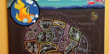 Mastering Memory: Techniques for Effective Learning